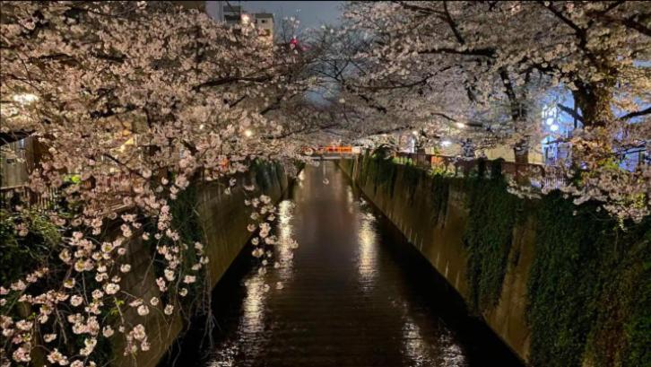Tsunoya Leilighet Tokyo Eksteriør bilde